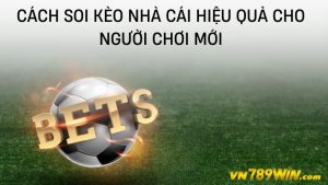 Cách soi kèo nhà cái hiệu quả cho người chơi mới