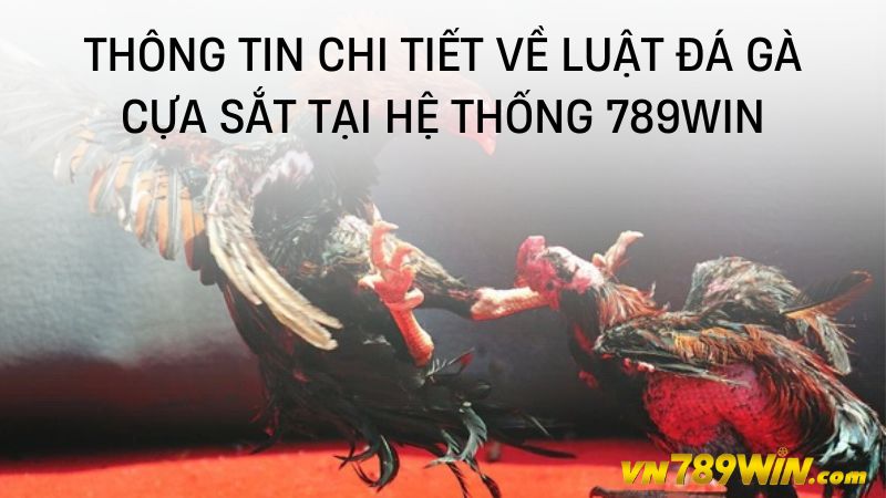 Thông tin chi tiết về luật đá gà cựa sắt tại hệ thống 789WIN