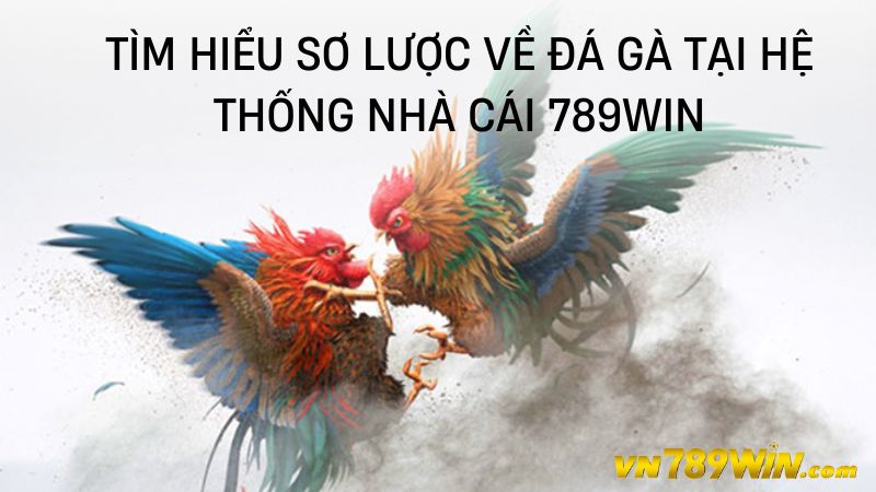 Tìm hiểu sơ lược về đá gà tại hệ thống nhà cái 789WIN