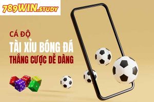 789WIN - Kèo tài xỉu giúp bạn tăng cơ hội chiến thắng?